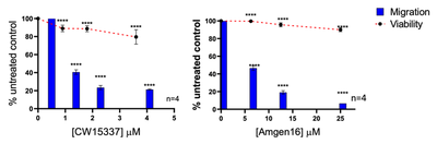 Drugs inhibiting NF-κB inducing kinase (NIK) significantly inhibited CLL (MEC-1) cell migration against a chemokine gradient in a dose-dependent manner. The inhibition of CLL cell migration suggests these drugs might be a promising therapeutic in CLL by blocking re-entry of CLL cells to the lymph node microenvironment. 