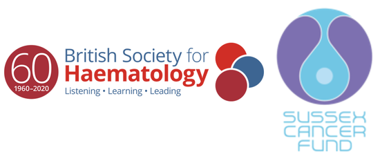 Modelling and targeting Acute Myeloid Leukaemia cells in the bone marrow protective niche