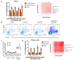 A Novel In Vitro Model of the Bone Marrow Microenvironment in Acute Myeloid Leukemia Identifies CD44 and Focal Adhesion Kinase as Therapeutic Targets to Reverse Cell Adhesion-Mediated Drug Resistance