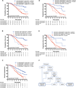 Combined analysis of IGHV mutations, telomere length and CD49d identifies long-term progression-free survivors in TP53 wild-type CLL treated with FCR-based therapies