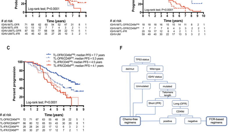 Combined analysis of IGHV mutations, telomere length and CD49d identifies long-term progression-free survivors in TP53 wild-type CLL treated with FCR-based therapies