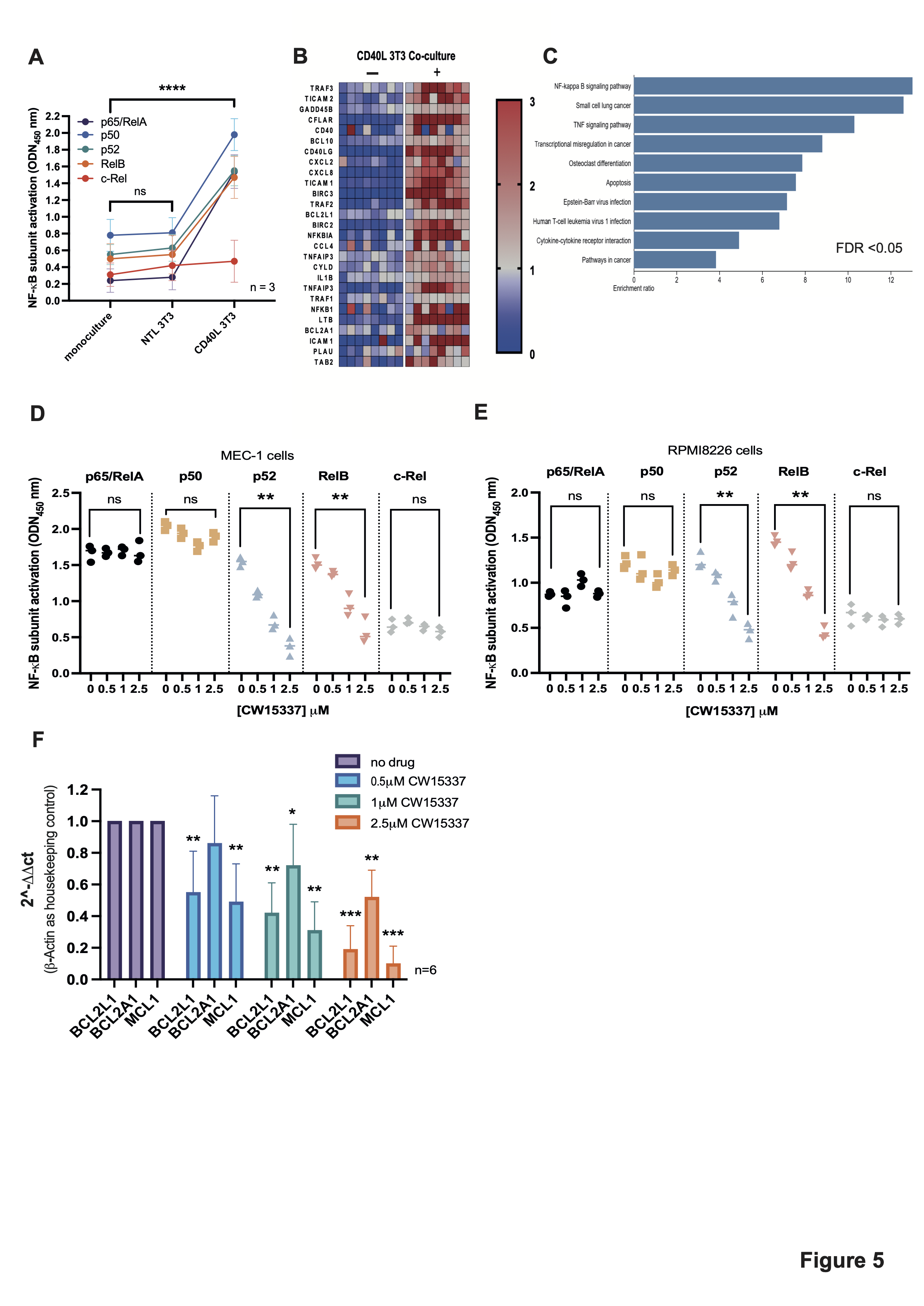 Targeting the Non-Canonical NF-κB Pathway in Chronic Lymphocytic ...