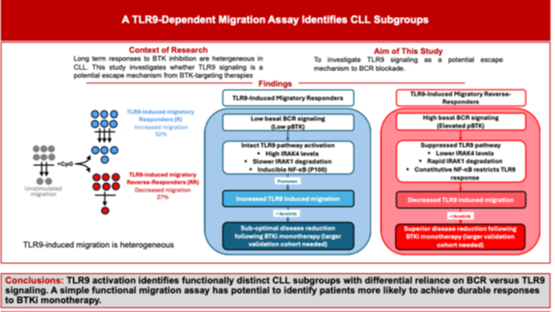 TLR9-dependent migration identifies different Chronic Lymphocytic Leukemia signaling states under BTK inhibition.