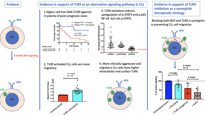 TLR9 expression in chronic lymphocytic leukemia identifies a promigratory subpopulation and novel therapeutic target